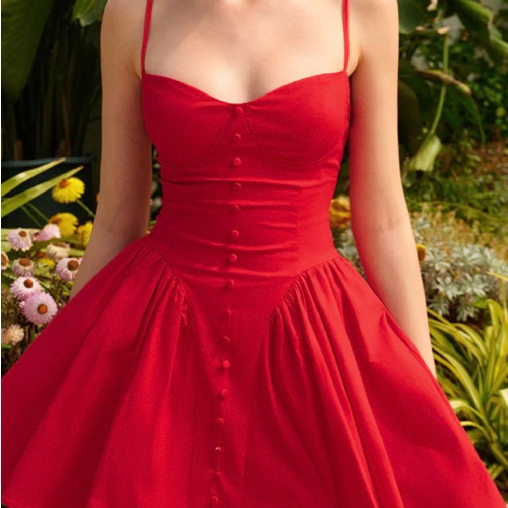 Chic Scarlet Mini Dress - Picture 3 of 3